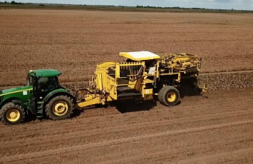 Harvesting campaign 2019.Video