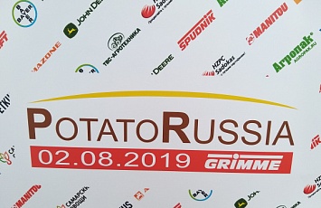 Potato Russia 2019