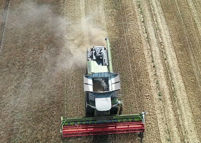 Baltic Seed: Barley Harvesting 2021