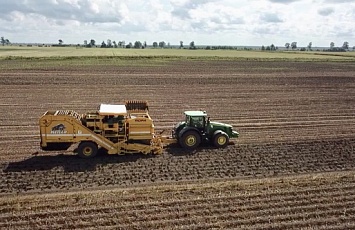 Start of the harvesting campaign for seed potatoes in the 2019/2020 season 
